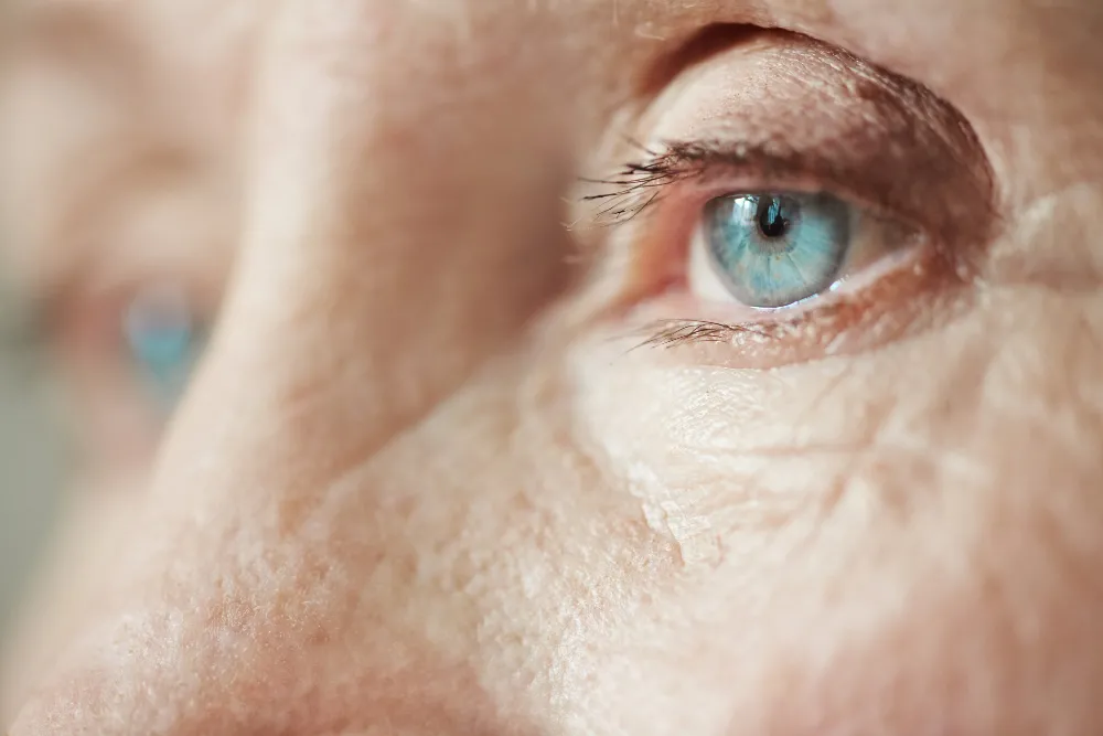 Retina Hastalıkları