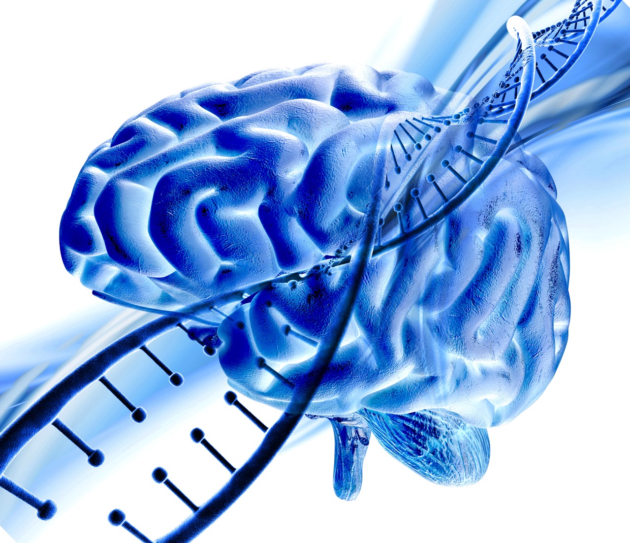 Neuro-ophtalmologie